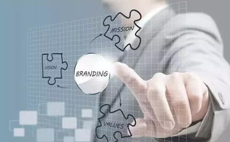 注冊(cè)公司前必須熟知的6個(gè)方面 知識(shí)產(chǎn)權(quán)服務(wù)與財(cái)稅規(guī)劃